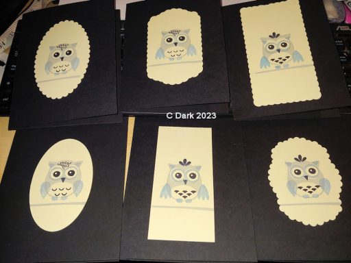 Owls